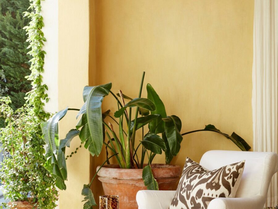 Verf van Thuisin voor de Bohemian woonstijl