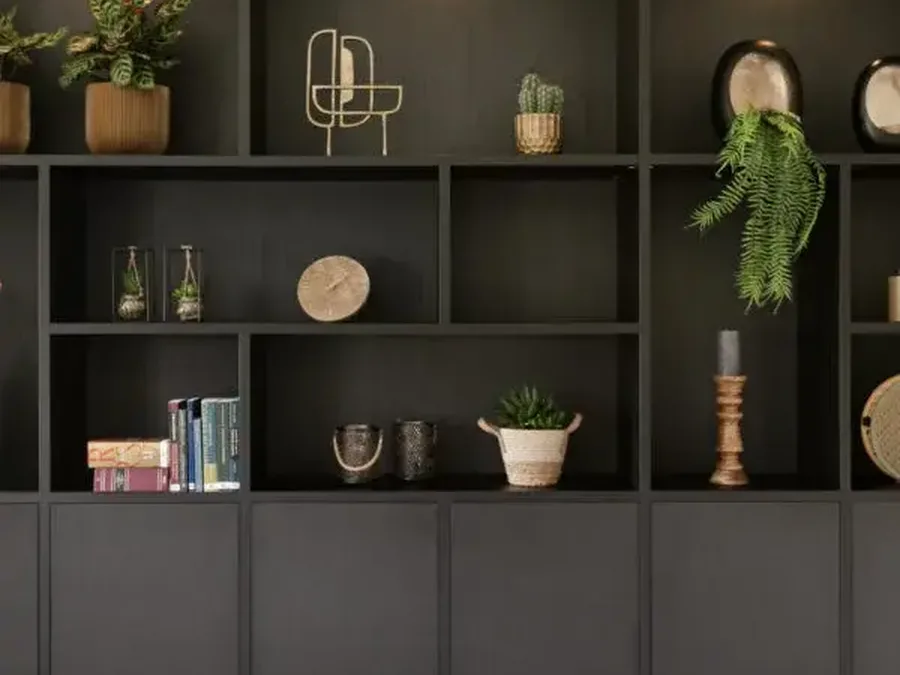 Wandkast voor luxe accessoires: wandkast om kunst en luxe accessoires stijlvol uit te stallen.