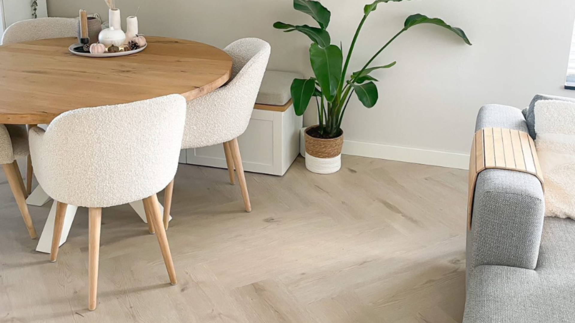 Thuisin & Ashley Willems