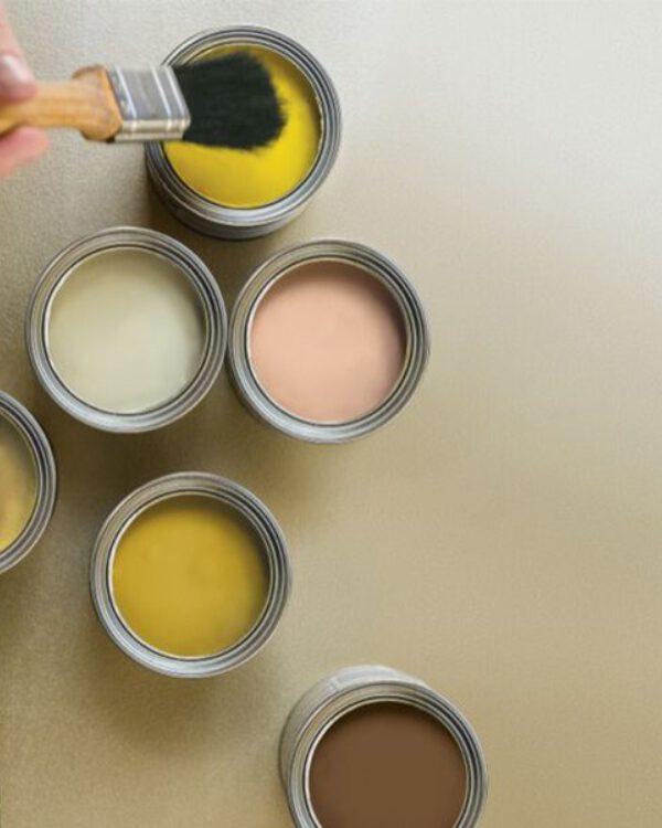 Van toepassing zijn Agnes Gray converteerbaar Deuren schilderen | de 5 meest gemaakte schilderfouten +… | Thuisin