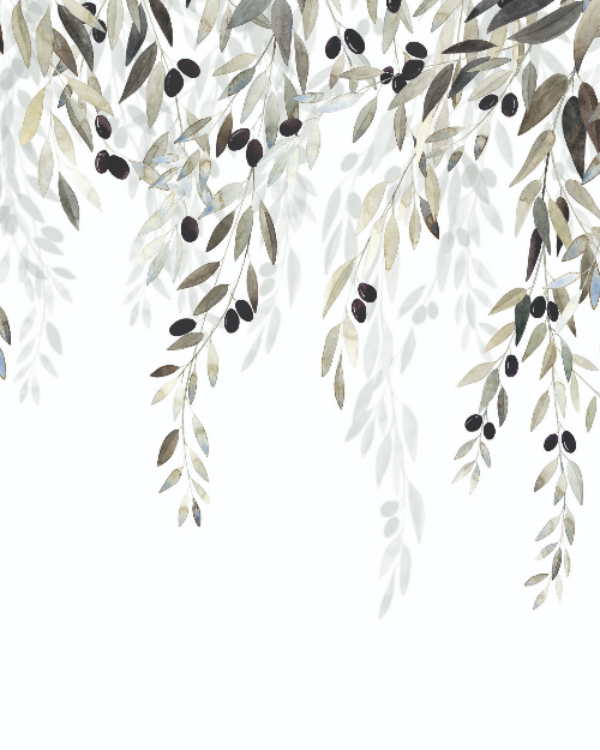 Behang van Casadeco Memory Tree Vert Olive, groenkleurige takken