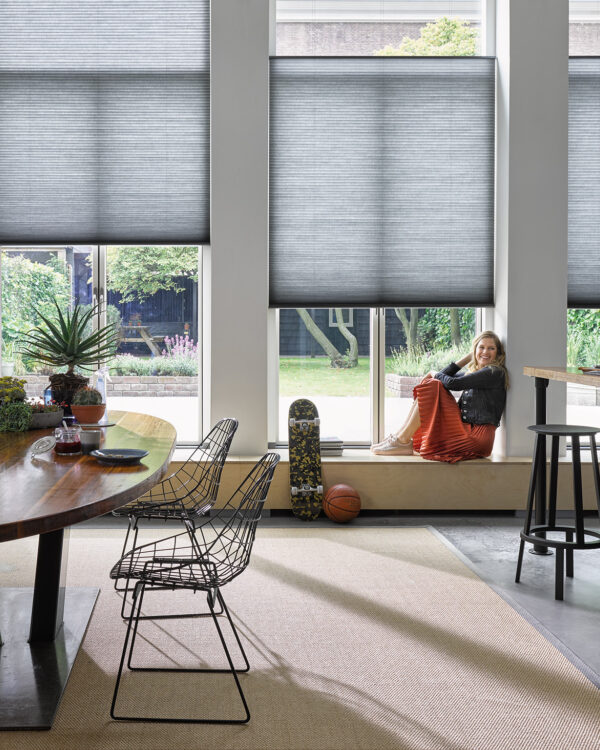 Duettes Luxaflex grijs woonkamer