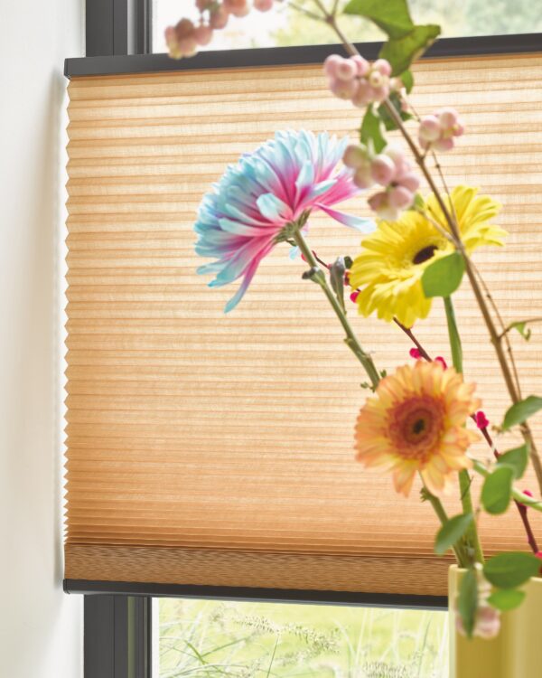 Luxaflex® Duette® shades