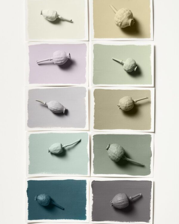 Flexa Colour of the Year 2023 Lush Colours Palette