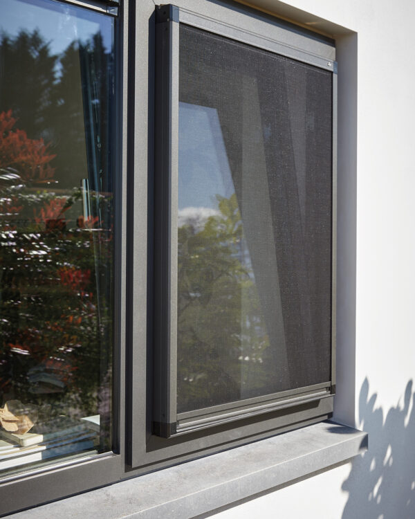 Luxaflex zwarte hor bij zwart kozijn