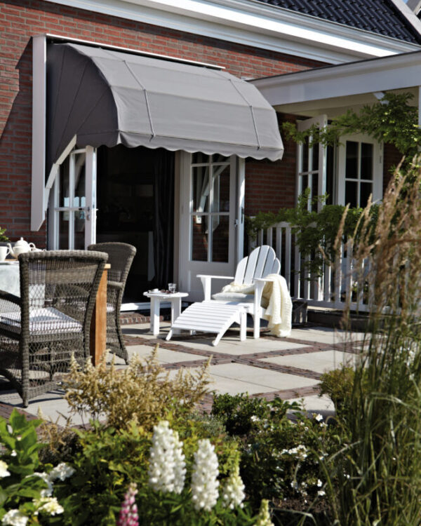 Grijze markiezen in de achtertuin