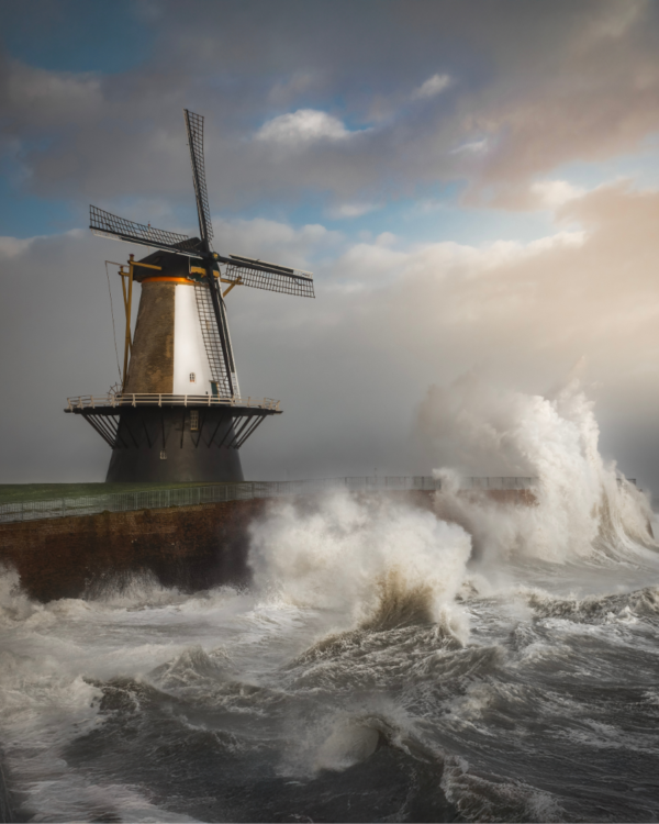 Industriële sfeerfoto met een molen en woeste natuur