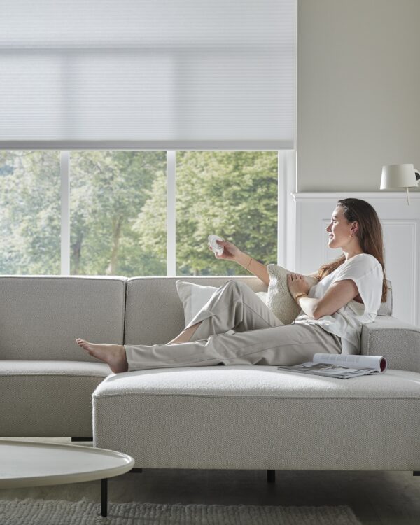 Dame met pebble in de woonkamer met elektrische rolgordijnen.