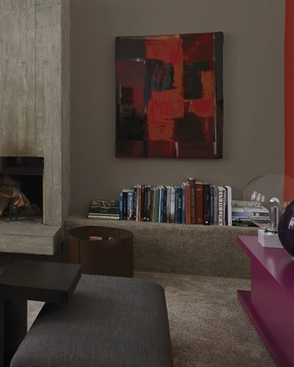 Woonkamer met haard, boekenplank en modern interieur, muurverf in grijs en rood