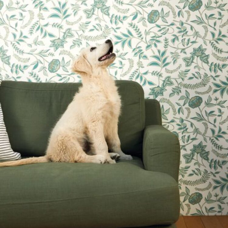 Woonkamer met hond op de bank en bloemenbehang, landelijke stijl