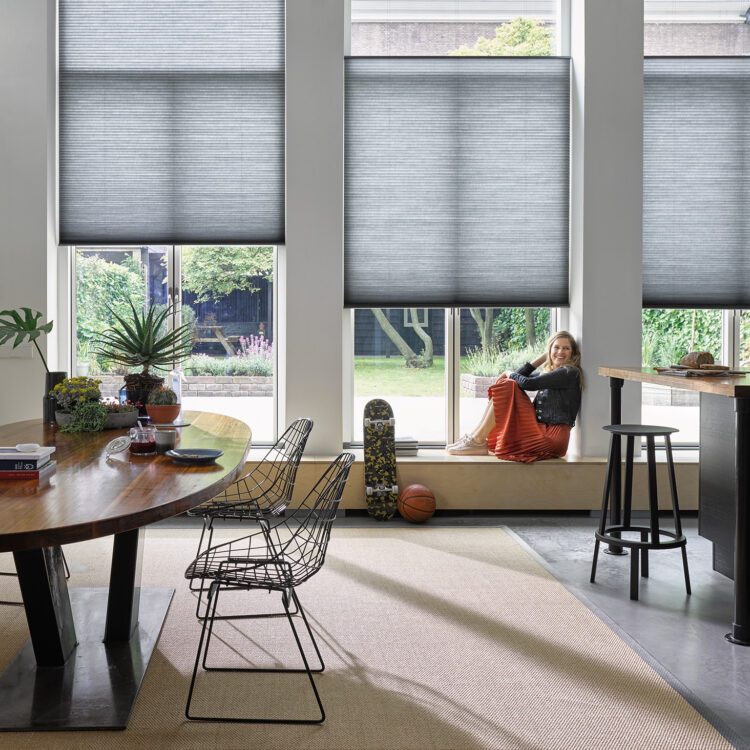 Duettes Luxaflex grijs woonkamer