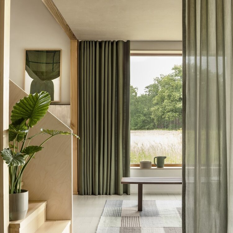 Inbetweens de Ploeg distel groen sfeerfoto hal liggend