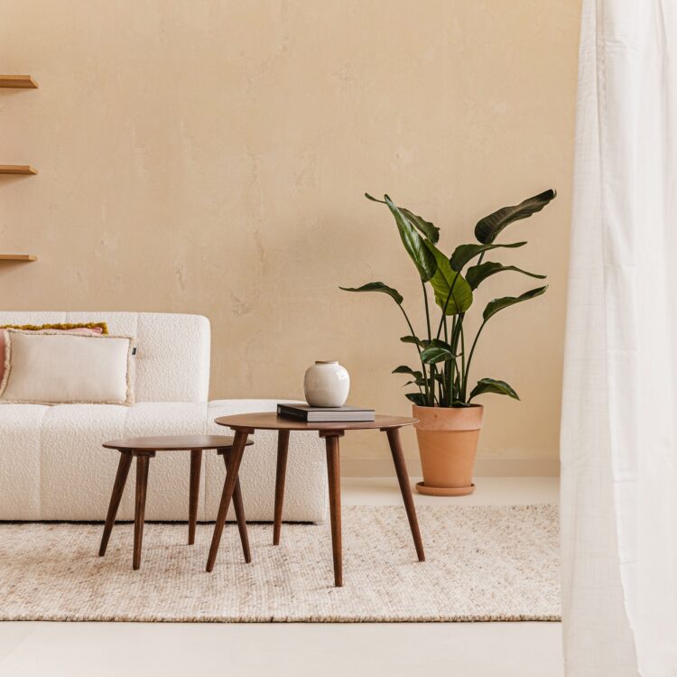 Pure & Original verf - Sahara Dust Marrakech