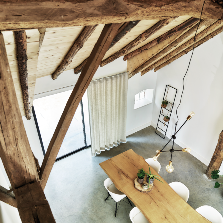 Distel van Artelux in de eetkamer