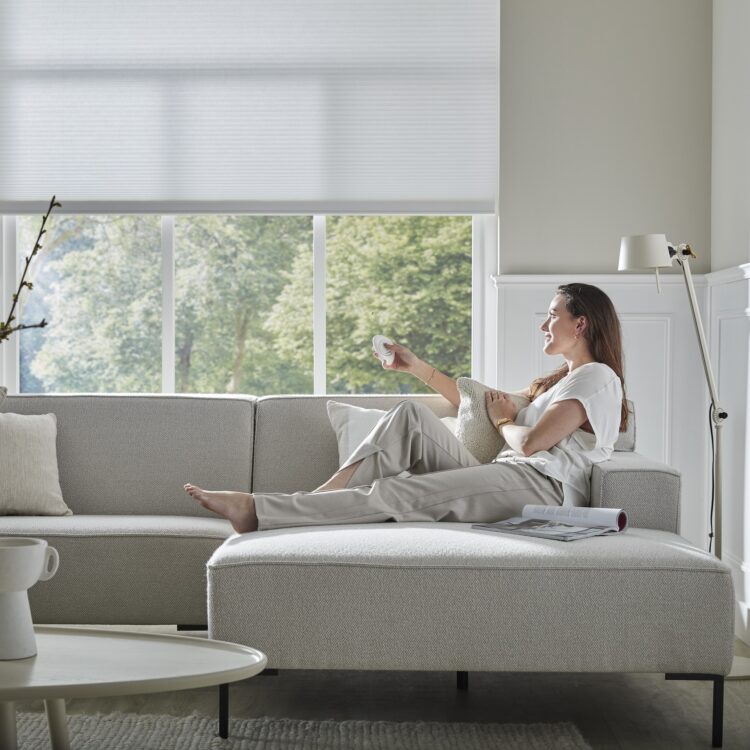 Dame met pebble in de woonkamer met elektrische rolgordijnen.