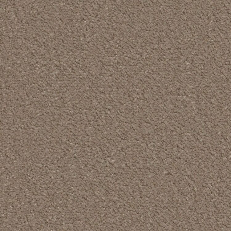 Lodi detailfoto tapijt taupe